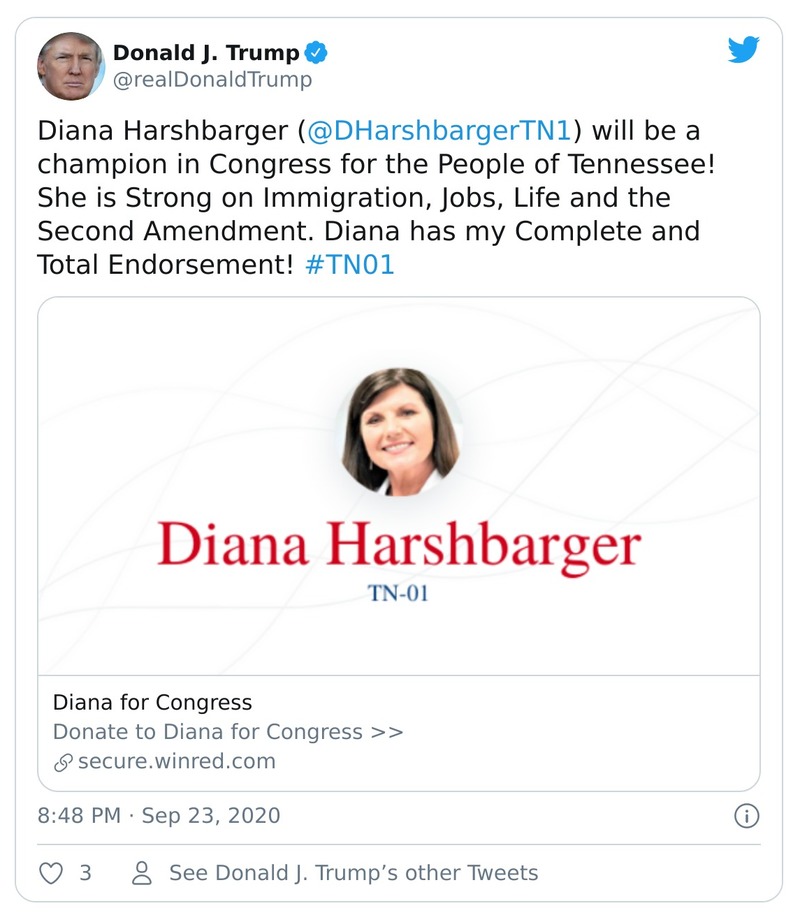 Post preview from Donald Trump