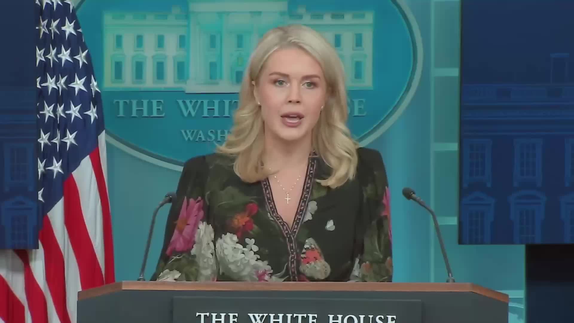 Press Briefing: Karoline Leavitt Holds a Press Briefing at The White House - November 4, 2025