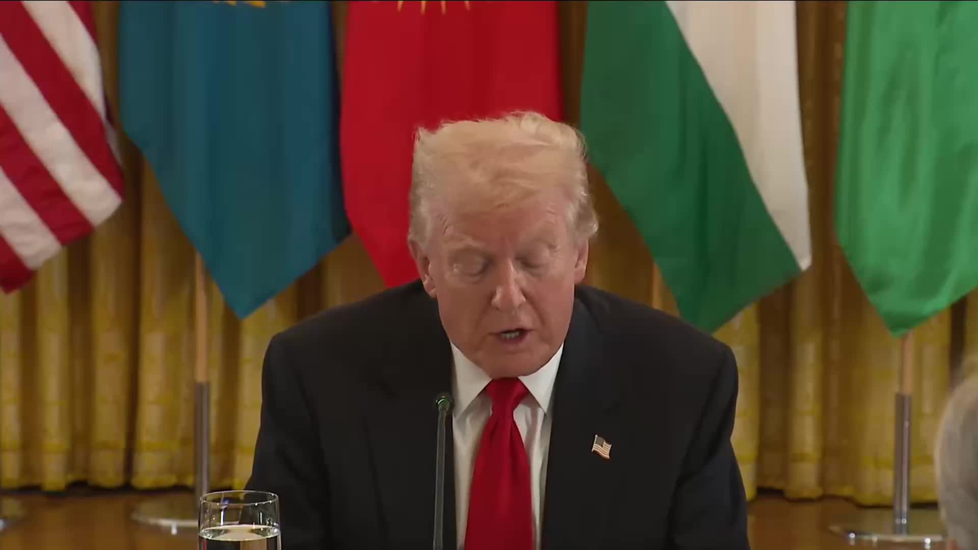 Remarks: Donald Trump Holds a Multilateral Dinner with Central Asian Leaders - November 6, 2025